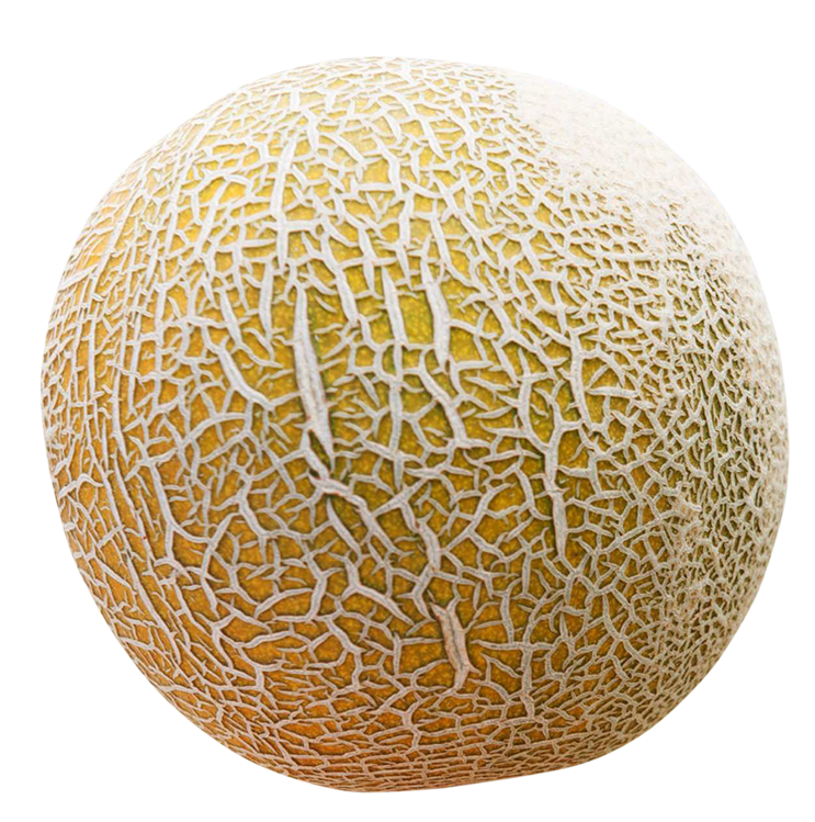 cantaloupe images, cantaloupe png, cantaloupe png image, cantaloupe transparent png image, cantaloupe png full hd images download
